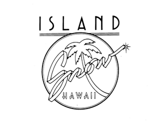 ISLAND SNOW HAWAII logo