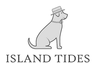 ISLAND TIDES logo