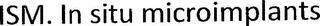 ISM. IN SITU MICROIMPLANTS logo