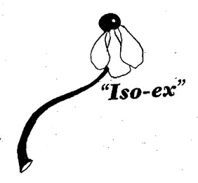 "ISO-EX" logo