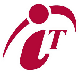 IT logo