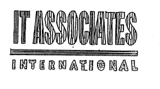 IT ASSOCIATES INTERNATIONAL logo