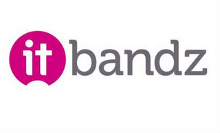 IT BANDZ logo