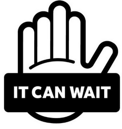 IT CAN WAIT logo
