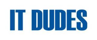 IT DUDES logo