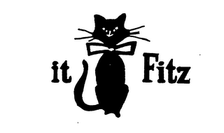 IT FITZ logo
