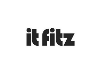 IT FITZ logo