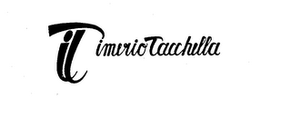 IT IMERIO TACCHELLA logo