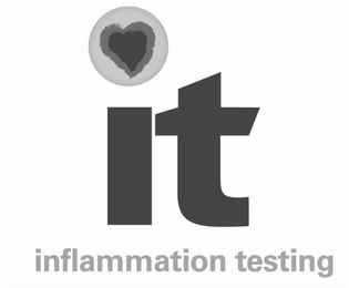 IT INFLAMMATION TESTING logo