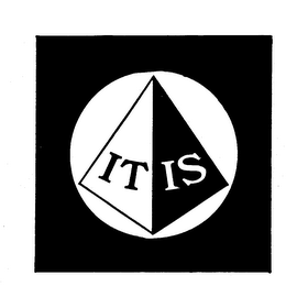 IT IS logo