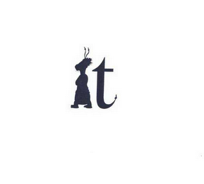 IT LOGO logo