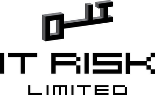 IT RISK LIMITED logo
