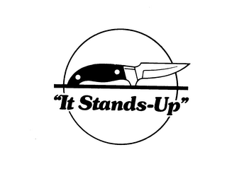 "IT STANDS UP" logo