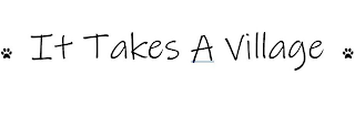 IT TAKES A VILLAGE logo
