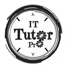 IT TUTOR PRO logo