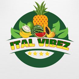 ITAL VIBEZ logo