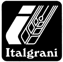 ITALGRANI logo
