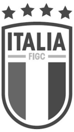 ITALIA FIGC logo