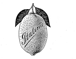 ITALINA logo