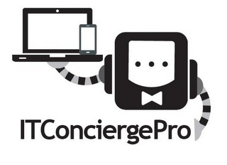 ITCONCIERGEPRO logo