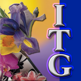 ITG logo