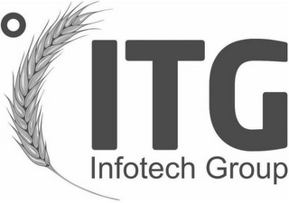 ITG INFOTECH GROUP logo