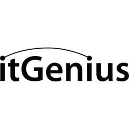 ITGENIUS logo