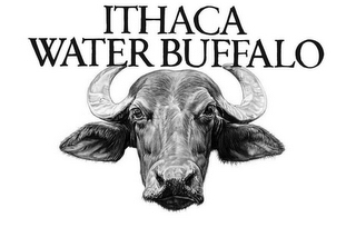 ITHACA WATER BUFFALO logo