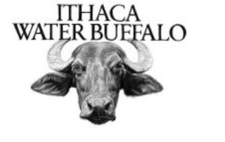 ITHACA WATER BUFFALO logo