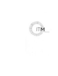 ITM SOFTWARE logo