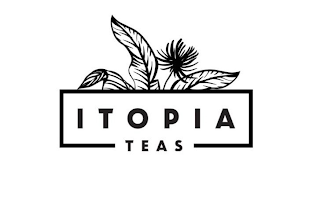 ITOPIA TEAS logo