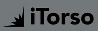 ITORSO logo