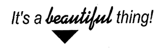 IT'S A BEAUTIFUL THING! logo
