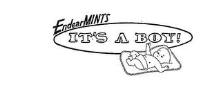 IT'S A BOY! ENDEARMINTS logo