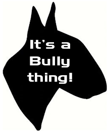 IT'S A BULLY THING! logo