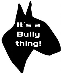 IT'S A BULLY THING! logo
