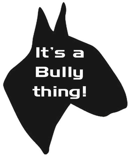 IT'S A BULLY THING! logo