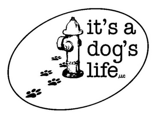 IT'S A DOG'S LIFE, LLC logo