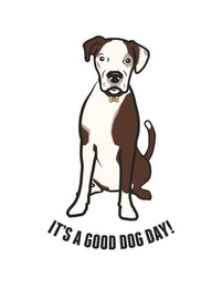 IT'S A GOOD DOG DAY! OTIS logo