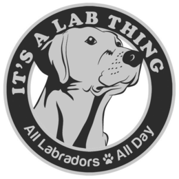 IT'S A LAB THING ALL LABRADORS ALL DAY logo