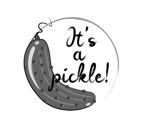 IT'S A PICKLE! logo