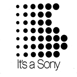 IT'S A SONY logo