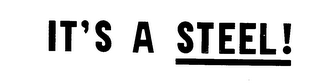 IT'S A STEEL! logo