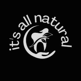 IT'S ALL NATURAL logo