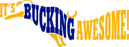 IT'S BUCKING AWESOME! logo