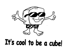 IT'S COOL TO BE A CUBE! logo