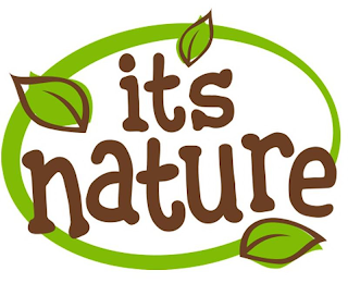 IT'S NATURE logo