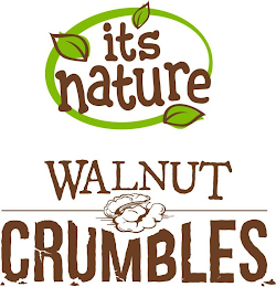 IT'S NATURE WALNUT CRUMBLES logo