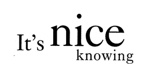 IT'S NICE KNOWING logo