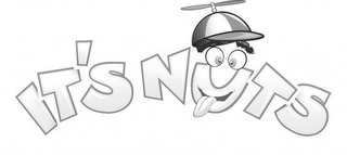 IT'S NUTS logo